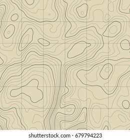 Background of the topographic map. Topographic map lines, contour background. Geographic grid, vector abstract.