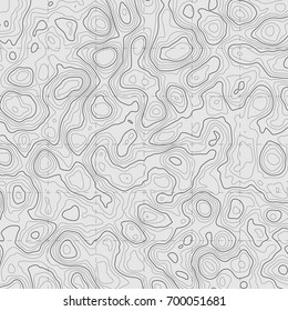 Background of the topographic map. Topographic map lines, contour background. Geographic grid, vector abstract.