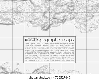 Background of the topographic map. Topographic map lines, contour background. Geographic grid, vector abstract.