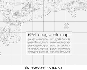 Background of the topographic map. Topographic map lines, contour background. Geographic grid, vector abstract.