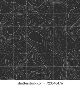 Background of the topographic map. Topographic map lines, contour background. Geographic grid, vector abstract.
