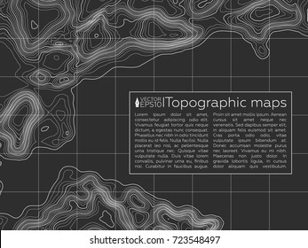 Background of the topographic map. Topographic map lines, contour background. Geographic grid, vector abstract.