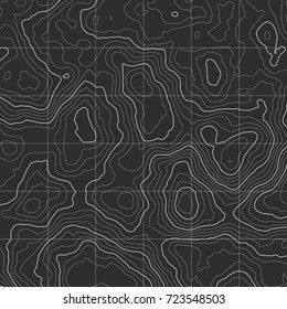 Background of the topographic map. Topographic map lines, contour background. Geographic grid, vector abstract.