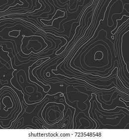 Background of the topographic map. Topographic map lines, contour background. Geographic grid, vector abstract.