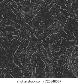 Background of the topographic map. Topographic map lines, contour background. Geographic grid, vector abstract.