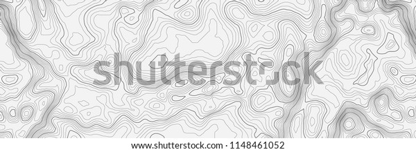 Background of the topographic map.\
Topographic map lines, contour background. Geographic abstract\
grid. EPS 10 vector\
illustration.