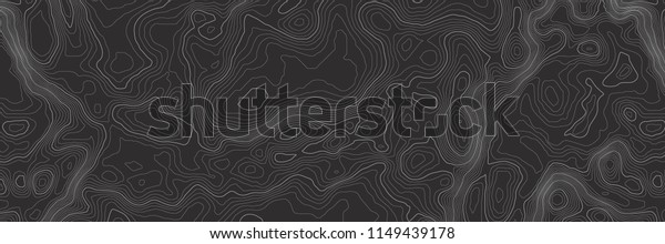 Background of the topographic map.\
Topographic map lines, contour background. Geographic abstract\
grid. EPS 10 vector\
illustration.\
