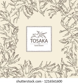 Background with tosaka: laminaria seaweed, sea kale. Edible seaweed. Vector hand drawn illustration.