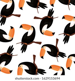 background of toucans animals exotic vector illustration design