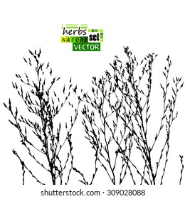 Background Tracing grass. Vector
