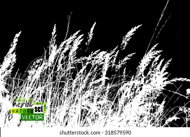 Background Tracing grass. Vector