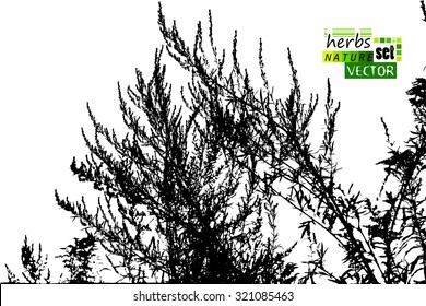 Background Tracing grass. Vector