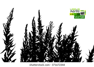 Background Tracing grass. Vector