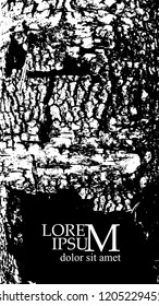 background tracing tree bark. Vector