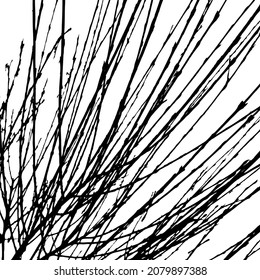 the background of the tree branch. Vector illustration