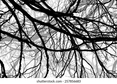 Background tree branches. Vector