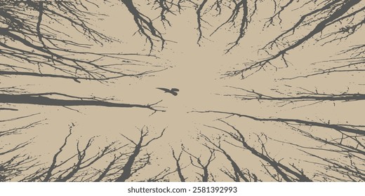 Background of a tree without leaves with small branches on a white and gray background is used for backgrounds of magazine brochures and others.