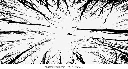 Background of a tree without leaves with small branches on a white and gray background is used for backgrounds of magazine brochures and others.