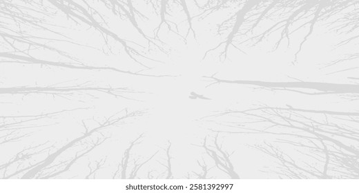 Background of a tree without leaves with small branches on a white and gray background is used for backgrounds of magazine brochures and others.