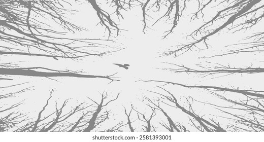 Background of a tree without leaves with small branches on a white and gray background is used for backgrounds of magazine brochures and others.