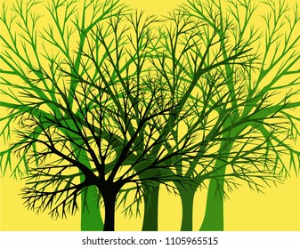 Background trees bright