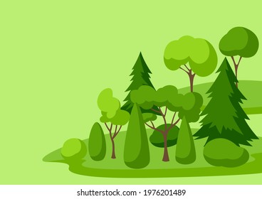 Background with trees, spruces and bushes. Summer or spring landscape.