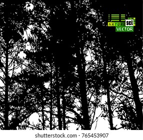 Background trees tracing