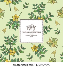 Hintergrund mit tribulusem terrestrischem Hintergrund: Blumen von tribulus terrestris, Ast und Blättern. Kosmetische und medizinische Pflanze. Vektorgrafik, handgezeichnet. 