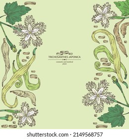 Background with trichosanthes japonica: leaves, flower, plan and trichosanthes japonica root. Trichosanthes kirilowii. Cosmetic, perfumery and medical plant. Vector hand drawn illustration.