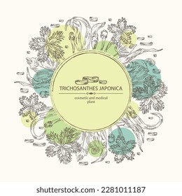 Background with trichosanthes japonica: leaves, flower, plan and trichosanthes japonica root. Trichosanthes kirilowii. Cosmetic, perfumery and medical plant. Vector hand drawn illustration.