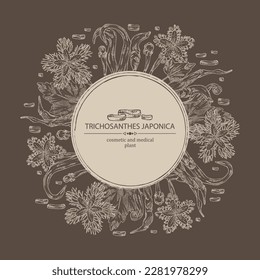 Background with trichosanthes japonica: leaves, flower, plan and trichosanthes japonica root. Trichosanthes kirilowii. Cosmetic, perfumery and medical plant. Vector hand drawn illustration.