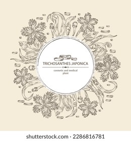 Background with trichosanthes japonica: leaves, flower, plan and trichosanthes japonica root. Trichosanthes kirilowii. Cosmetic, perfumery and medical plant. Vector hand drawn illustration.