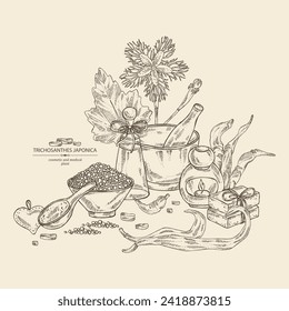 Background with trichosanthes japonica: leaves, flower, plan and trichosanthes japonica root. Trichosanthes kirilowii. Oil, soap and bath salt. Cosmetics and medical plant. Vector hand