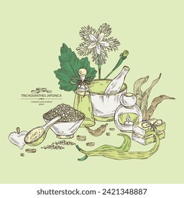 Background with trichosanthes japonica: leaves, flower, plan and trichosanthes japonica root. Trichosanthes kirilowii. Oil, soap and bath salt. Cosmetics and medical plant. Vector hand