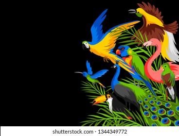 Background with tropical exotic birds. Wild fauna of jungle and rainforest.