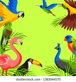 Background with tropical exotic birds. Wild fauna of jungle and rainforest.