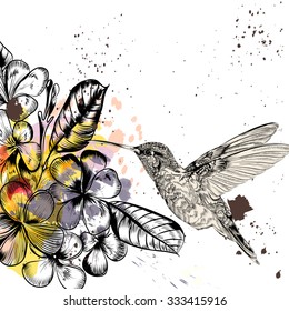 Background with tropical flowers and hummingbird in engraved and watercolor styles