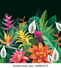 Background from tropical flowers and leaves