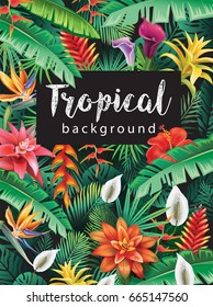 Background from tropical flowers and leaves