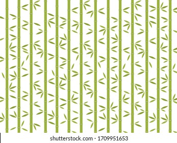 Fondo con ilustración vectorial de bambú verde tropical. Árboles de Japón, China con hojas.