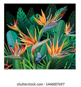 Background Tropical Jungle Plants On Black Stock Vector (Royalty Free ...