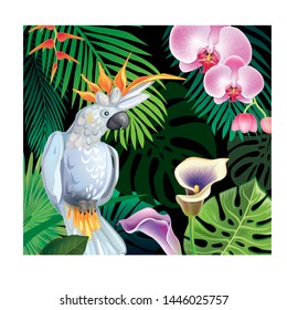 Background with tropical jungle plants on black background