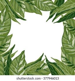 background with tropical leaves 