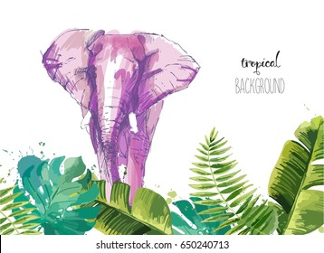 Background with Tropical Leaves and elephant. Suitable for nature concept, safari, zoo and summer holiday. Vector Illustration.