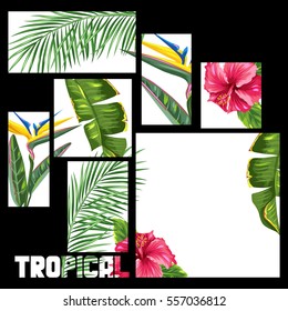 Background with tropical leaves and flowers. Palms branches, bird of paradise flower, hibiscus.
