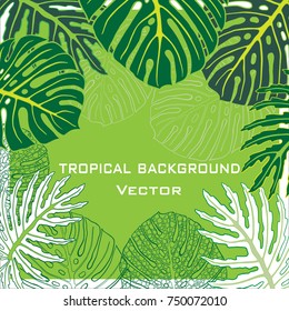 Background with tropical leaves. Linear vector drawing. Design elements for invitations, greeting cards, announcements.