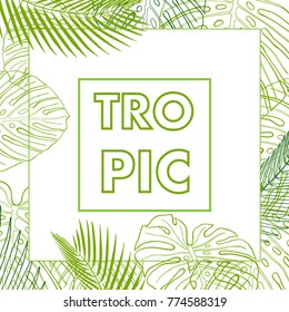 Background with tropical leaves. Linear vector drawing. Design elements for invitations, greeting cards, announcements.