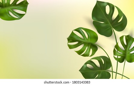 Background of tropical leaves on a green background, tropical foliage monstera with split-leaf foliage that grows in the wild. Banner for botany elements, health cosmetic products. Vector.