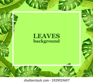 Background from tropical leaves on a green background, texture for design, vector illustration