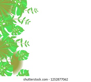 
background tropical leaves plastic pink, flower frame monstera ufo green, invitation card monstera proton purple 